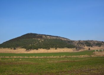 Abogados en Asesor.Legal | Asesoría legal para Cómo reclamar daños si te venden una licencia VTC con cargas ocultas Cómo reclamar daños si te venden una licencia VTC con cargas ocultas