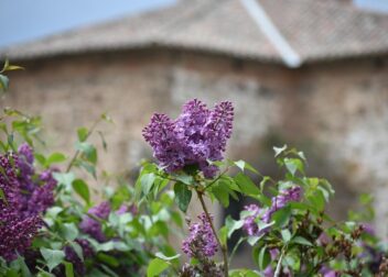 Regularizar VTC en La Rioja por incidencias administrativas persistentes