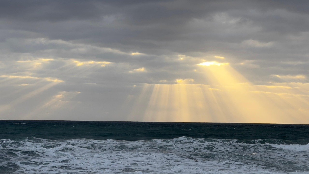 Todo incluido 395€ gestoría en Fuengirola para regularizar inmigrantes de Venezuela 2026