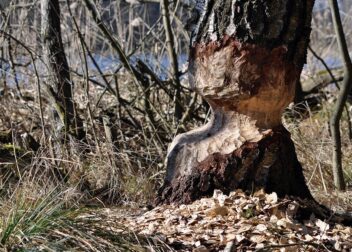 Reclamar daños y perjuicios por incumplimiento de contrato en Zaragoza
