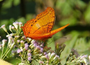 Consulta inmediata si te reclaman responsabilidad solidaria en VTC