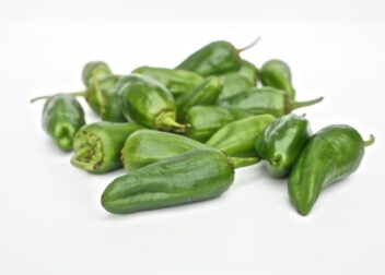 Cómo conseguir padrón para venezolanos que quieren regularizarse