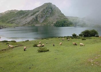 regularización de inmigrantes 2026 si viajé dentro de Europa sin papeles