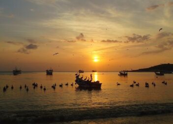 Nueva ley de regularización 2026 cómo aprovecharla bien