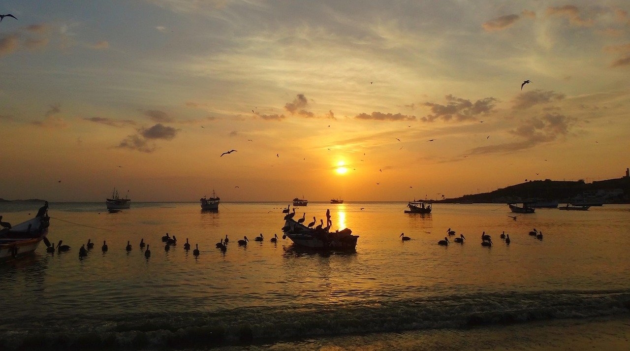 Nueva ley de regularización 2026 cómo aprovecharla bien