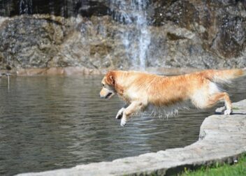 Defensa experta si te deniegan el extra por hijos en la pensión en A Coruña
