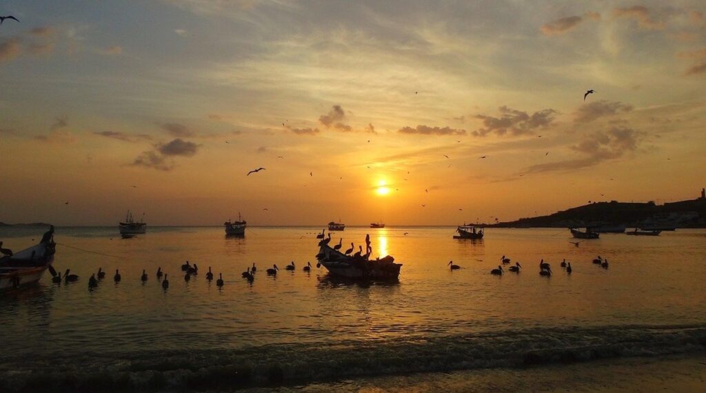 Cuánto cuesta adaptar tu empresa VTC a nueva normativa en 2026