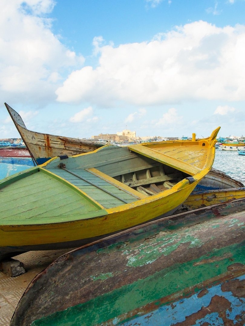 Cómo pedir copia del expediente sancionador VTC nada más recibir la notificación