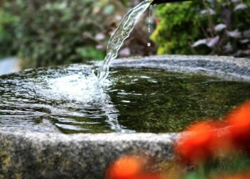 Regularización 2026 informes de ONG y asociaciones