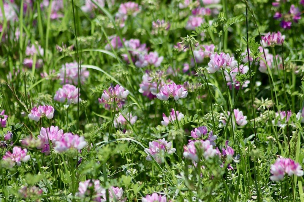 Cuánto cuesta un abogado para defensa completa ante varias sanciones VTC