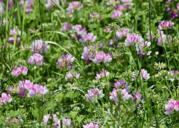 Abogados en Asesor.Legal | Asesoría legal para Cuánto cuesta un abogado para defensa completa ante varias sanciones VTC Cuánto cuesta un abogado para defensa completa ante varias sanciones VTC