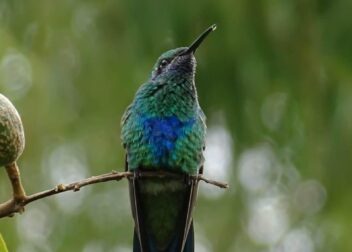 Precio cerrado 395€ gestoría en Ontinyent para regularizar inmigrantes de Colombia