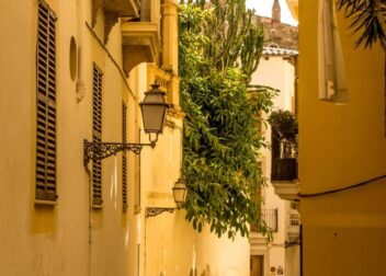 Regularización 2026 Palma de Mallorca cuánto cuesta y cómo pedirla