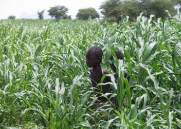 Oferta 395€ abogado de extranjería en Petrer para regularizar inmigrantes de Mali