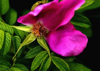 Te ayudamos si te enfrentas a un juicio por alcoholemia