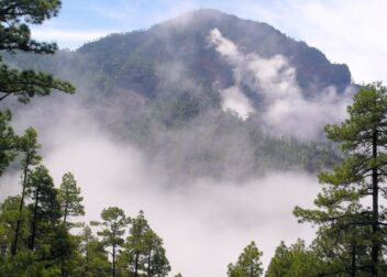 Regularización 2026 Las Palmas cuánto cuesta y qué piden