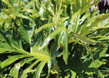 Abogados en Asesor.Legal | Asesoría legal para Regularización 2026 sello de entrada perdido soluciones Regularización 2026 sello de entrada perdido soluciones