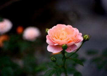 Cómo preparar tu declaración en Zaragoza sin perjudicar tu defensa