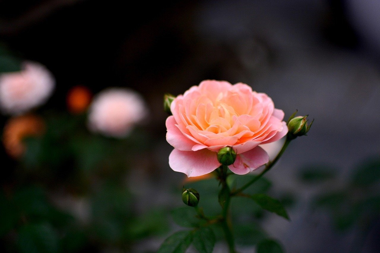 Cómo preparar tu declaración en Zaragoza sin perjudicar tu defensa