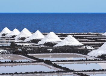 Abogado en Las Palmas para regularización 2026 si tengo miedo a una orden de expulsión