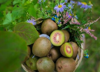 Cómo preparar alegaciones para conservar el complemento por brecha de género ya reconocido