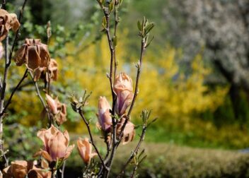 Demanda contenciosa en Zaragoza por daños causados por servicio público