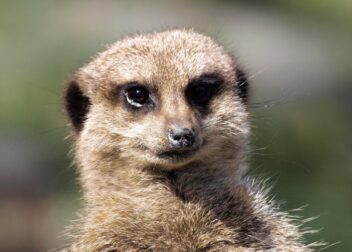 Abogados en Asesor.Legal | Asesoría legal para regularización de inmigrantes 2026 cuánto cuesta cada fase del proceso regularización de inmigrantes 2026 cuánto cuesta cada fase del proceso