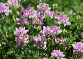 Cuánto cuesta la defensa ante inspección coordinada a varias VTC