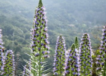 Asesoría legal para la gestión de bajas laborales tras accidente