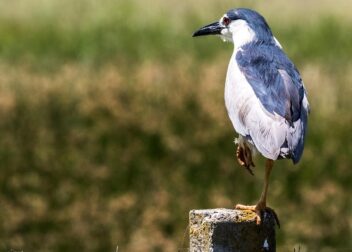 Abogados en Asesor.Legal | Asesoría legal para Demanda para solicitar división de cosa común heredada entre hermanos Demanda para solicitar división de cosa común heredada entre hermanos