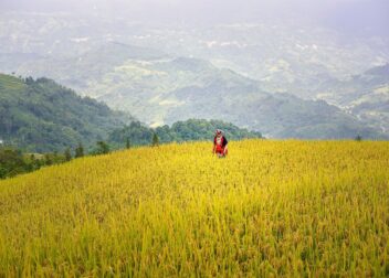 Documentación mínima para que su abogado inicie el trámite de herencia