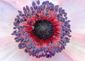 Recurrir sanción del ayuntamiento por vivienda vacía bajo ocupación ilegal