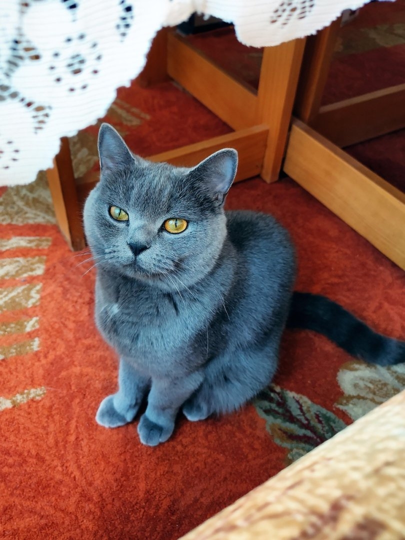 Cómo negociar una indemnización superior a la legal en un ERE