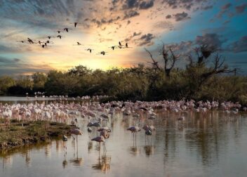 Abogado para impugnar actas de infracción de la Inspección de Trabajo