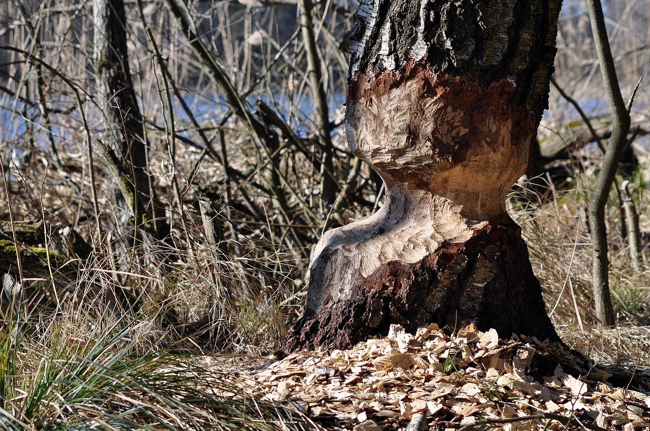 Cómo reclamar daños y perjuicios tras un accidente laboral grave