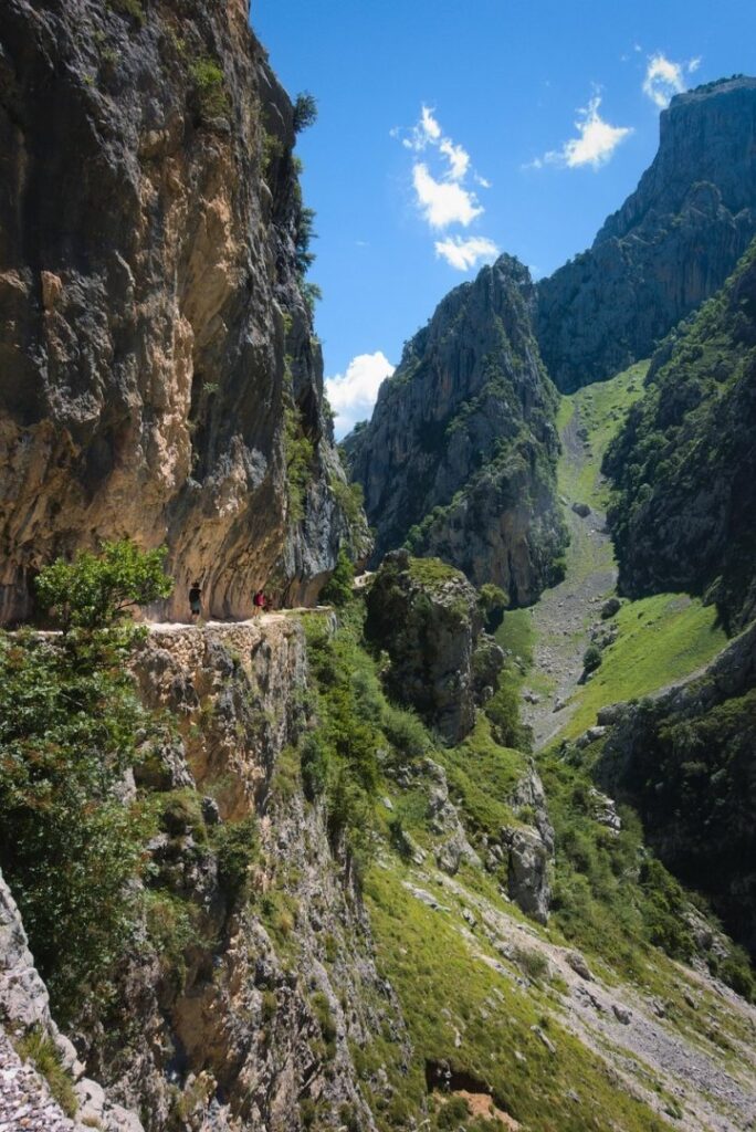 Estrategia de defensa del heredero ante deudas tributarias derivadas