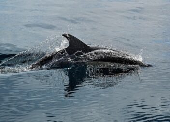 Abogados en Asesor.Legal | Asesoría legal para Despacho legal en Zaragoza para desahucio express tras fin de contrato Despacho legal en Zaragoza para desahucio express tras fin de contrato