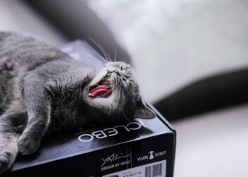 Errores comunes al contratar un abogado laborista para ERE