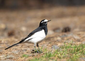 Abogados en Asesor.Legal | Asesoría legal para Abogado para reclamar seguros de vida y productos bancarios Abogado para reclamar seguros de vida y productos bancarios