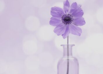 ¿Cómo tributan los derechos de autor heredados? Abogado especialista