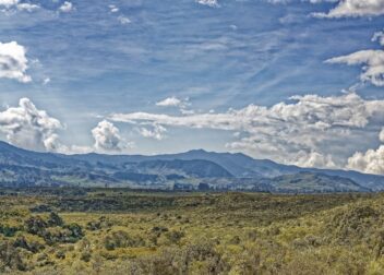 Estrategia nacional para apoyar a víctimas de acoso en el trabajo