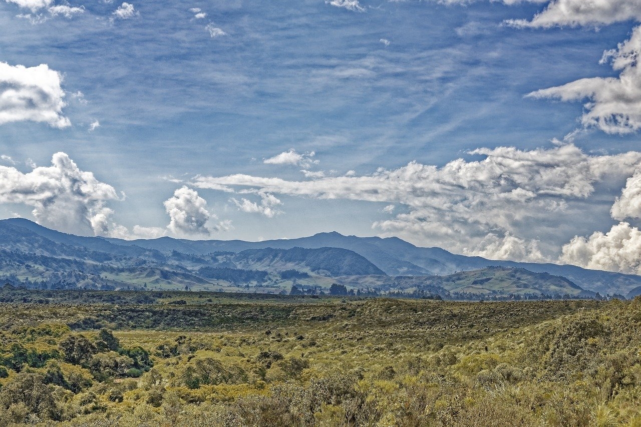 Estrategia nacional para apoyar a víctimas de acoso en el trabajo