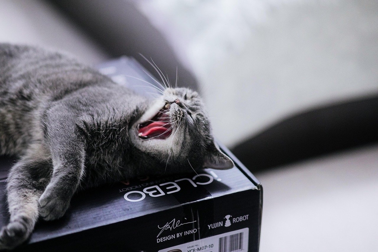 Documentos requeridos para impugnar un ERE ante el juzgado laboral