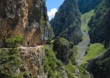 Abogados en Asesor.Legal | Asesoría legal para Defensa legal del albacea testamentario ante acusaciones de los herederos Defensa legal del albacea testamentario ante acusaciones de los herederos