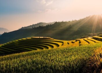 Abogados en Asesor.Legal | Asesoría legal para Reclama tu indemnización de 45 días con un abogado especializado Reclama tu indemnización de 45 días con un abogado especializado