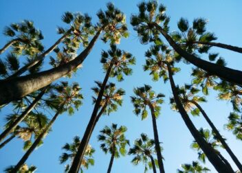 Bufete para procesos de usurpación de inmuebles en Málaga y Costa del Sol