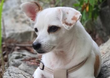 Abogados en Asesor.Legal | Asesoría legal para ¿Qué hacer si el inquilino subarrienda habitaciones? Abogado especialista ¿Qué hacer si el inquilino subarrienda habitaciones? Abogado especialista