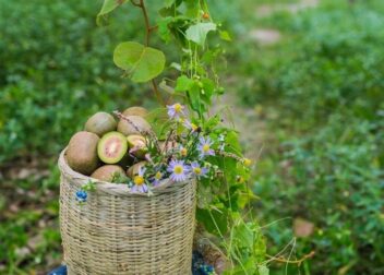 Defensa ante reclamación de deudas hereditarias ya prescritas