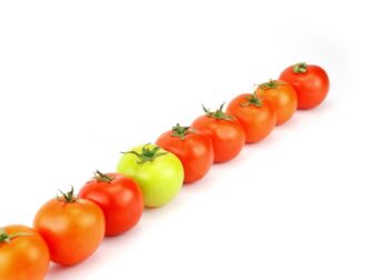 Errores fatales al contratar abogado para desalojos que debe evitar