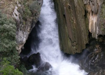 Presupuesto legal para renuncia a herencia de forma segura